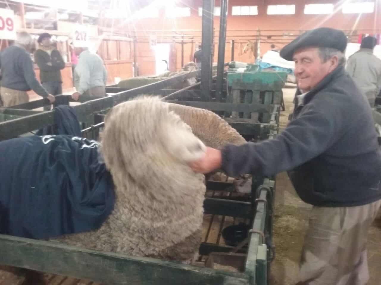 El campo en Bahía: comenzó el exposición de La Rural