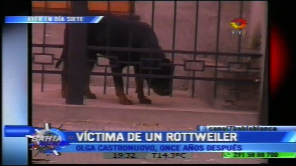 Perros peligrosos: habló la mujer a la que un rottweiler le amputó una pierna hace 11 años