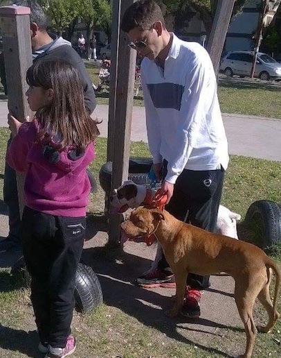 Un pitbull mató a un maltés en el paseo de las esculturas