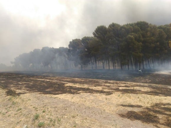 Incendio en El Pinar