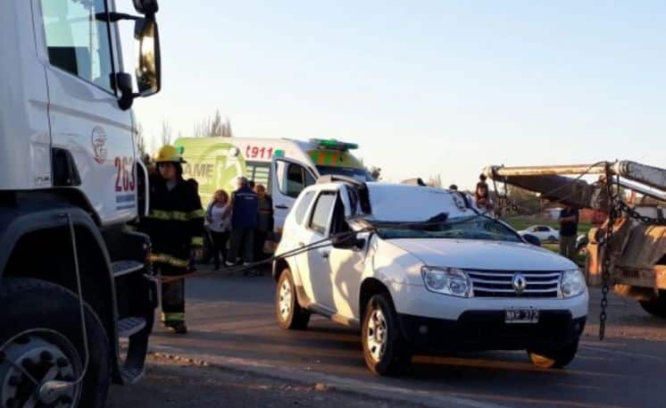 Pudo ser tragedia: chocó una linga cruzada en la ruta