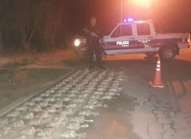 Secuestraron cargamento de ostras valuadas en $200.000