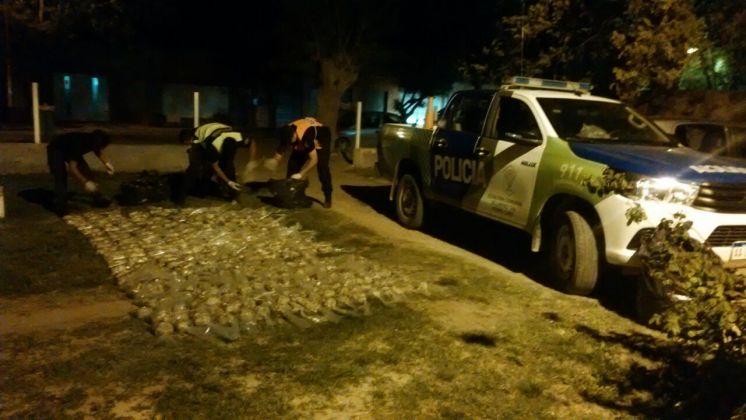 Secuestraron 430 kilos de ostras