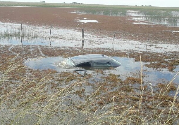 Una familia se salvó de milagro tras caer en una laguna