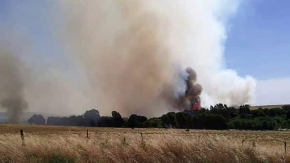 Desde ADA quieren esclarecer los incendios en el Dique