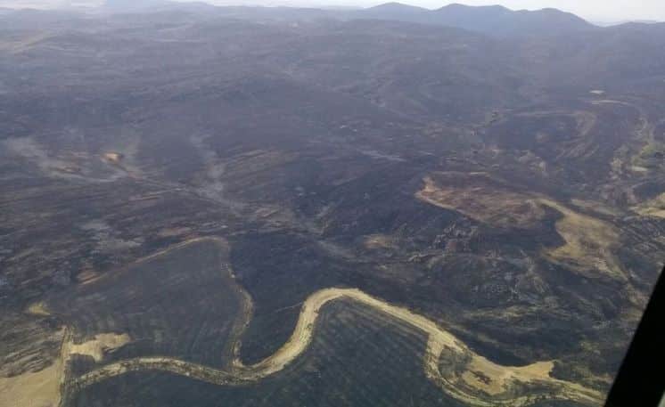 22.000 hectáreas afectadas tras incendio en S.de la Ventana