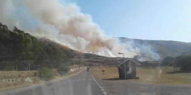 Incendios en campos aledaños a Bahia Blanca