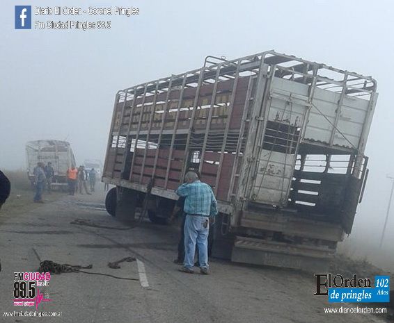 Volcó un camión de hacienda en la Ruta 85