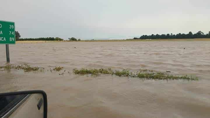 Coronel Dorrego: uno de los distritos más afectados por la lluvia