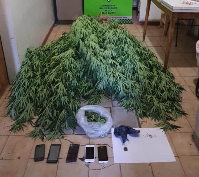 Más de 15 kilos de marihuana tenía en el patio de su casa