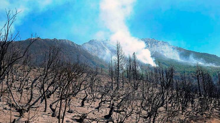 Un incendio forestal provocó un apagón en Bariloche