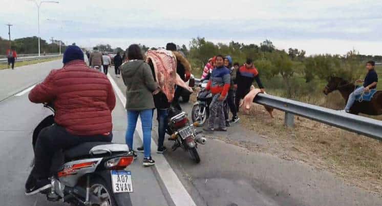 Volcó un camión con carne de cerdo y los vecinos se llevaron la mercadería