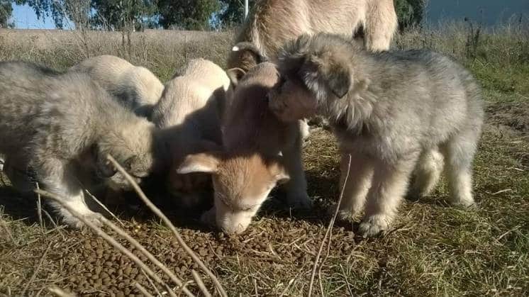 Un hogar para esta familia