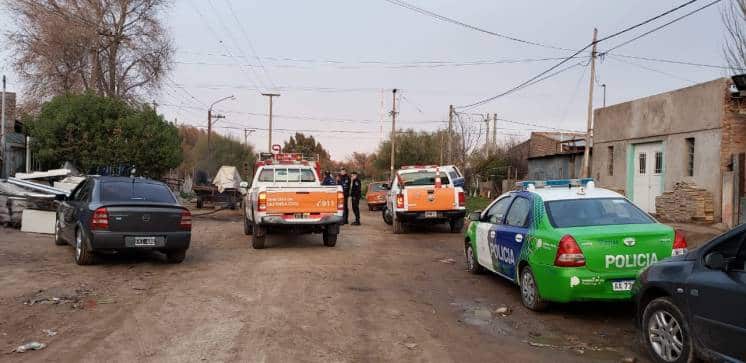 Mueren 7 perros en un incendio