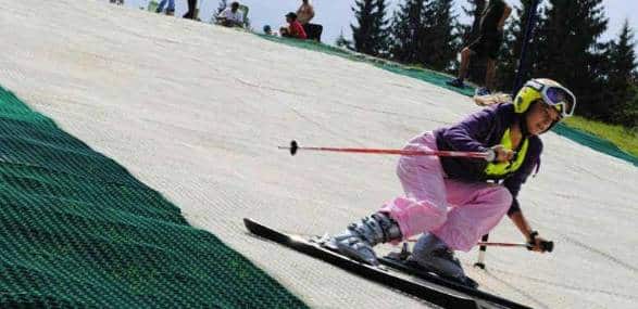 Quieren construir una pista de ski en Villa La Arcadia