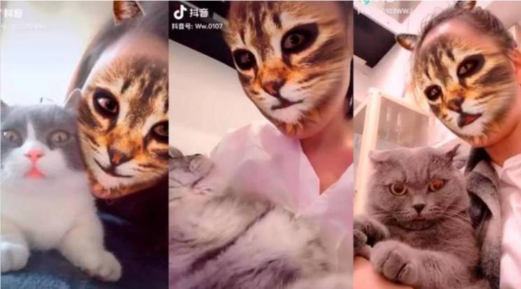 El filtro de Tik Tok que asusta a los gatos