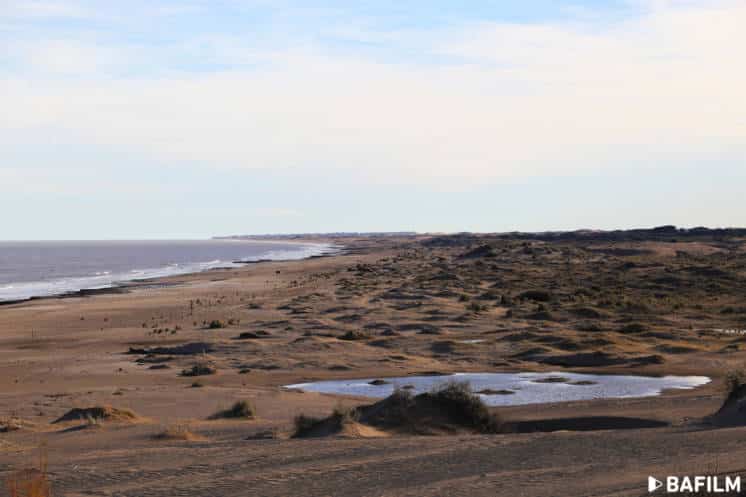 Repudian actos vandálicos en la reserva natural Pehuen-Có