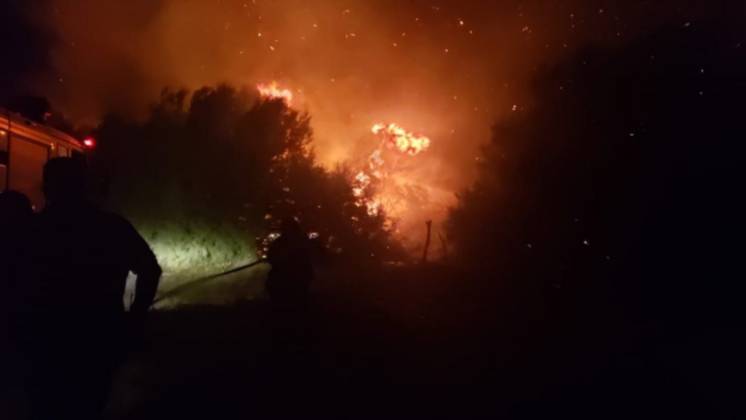 Los bomberos de White salvaron a una familia del fuego