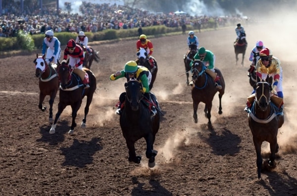 Agrupaciones proteccionistas le dicen “NO” a la carrera de caballos