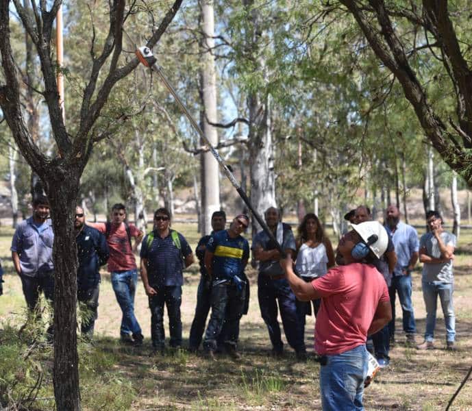 Curso de poda