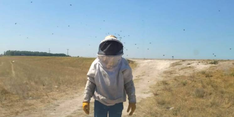 Abejas agresivas: Un camión que trasladaba colmenas se accidentó en la Ruta 3