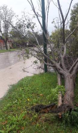 Consecuencias de la lluvia y viento en Bahía Blanca