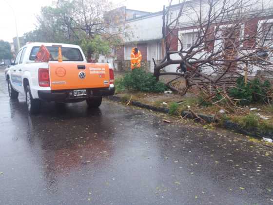 Un electrocutado, voladura de techos, árboles y familias evacuadas