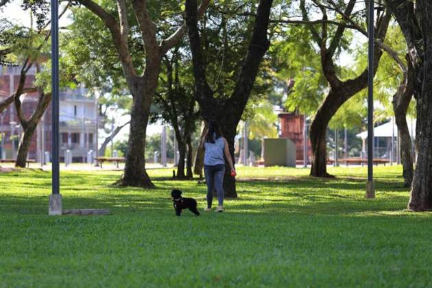 Llegan las salidas de esparcimiento a Bahía