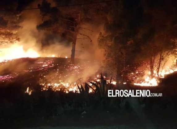 Bomberos de Pehuen Có trabajaron intensamente en dos incendios forestales