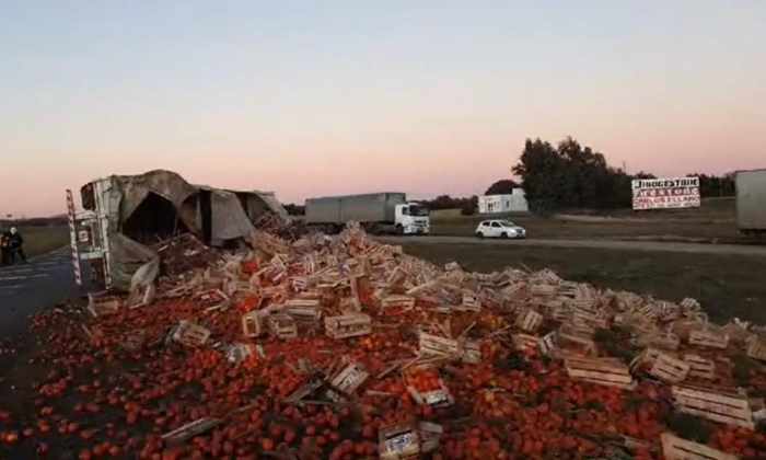 Volcó un camión con fruta en la Ruta 51