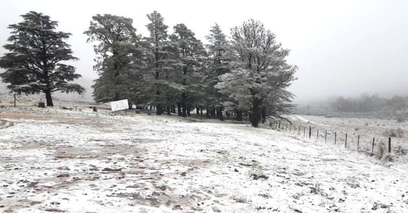 La Comarca Serrana se cubrió de nieve