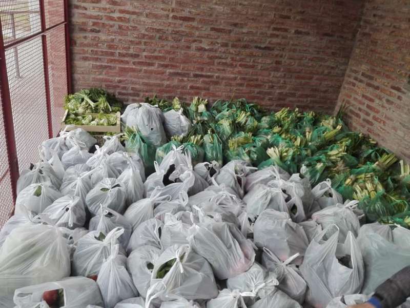 Alumnos de Medicina buscan donaciones para que familias coman frutas y verduras