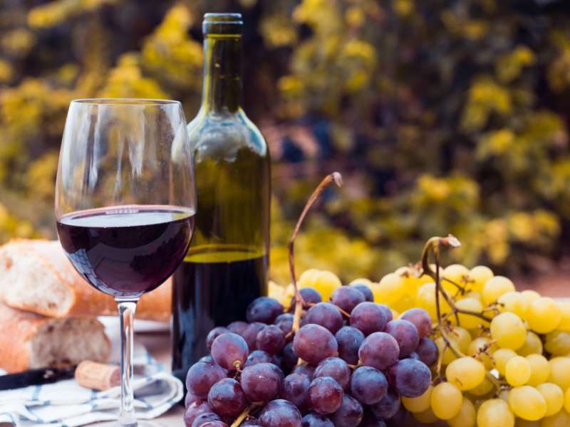 Las exportaciones de vino crecieron un 5,3%