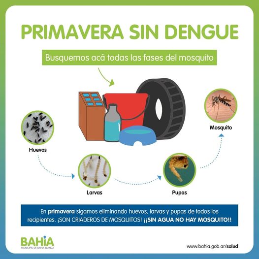 Primavera sin dengue