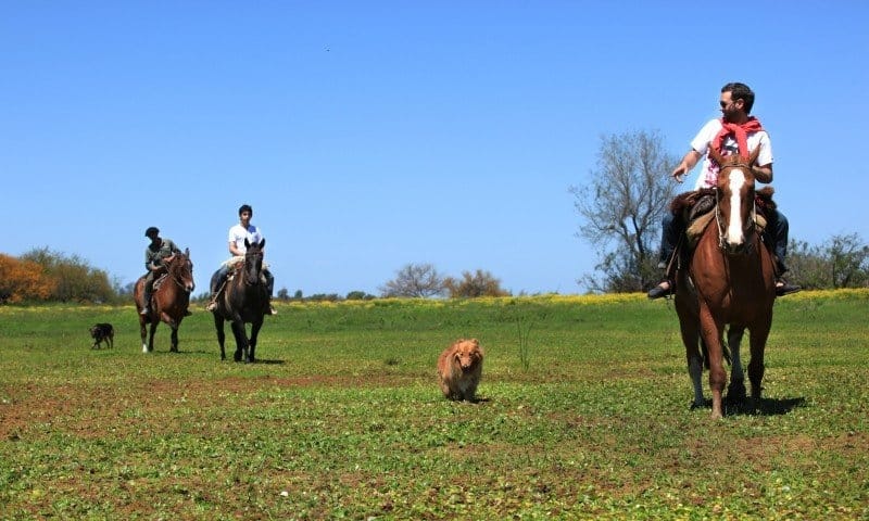 La provincia diseñó protocolos de turismo rural con grupos limitados