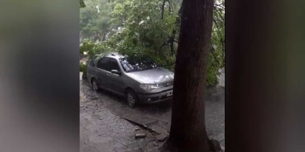 Temporal en Bahia Blanca: Evacuados, postes caídos y cables cortados