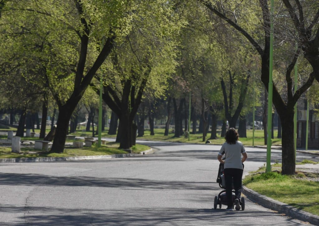 ¿Cómo se cuidan los árboles en calles y plazas?