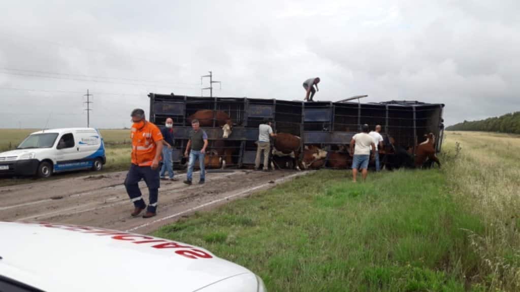 Volcó un camión con hacienda en la ruta 51