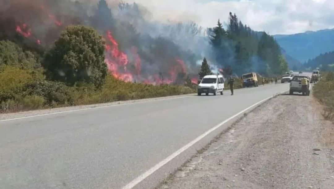 El incendio en El Bolsón ya consumió más de 10 mil hectáreas de bosques