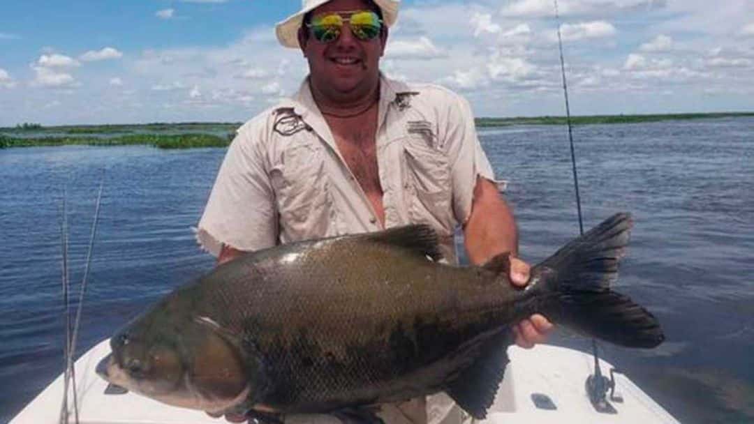 Corrientes: capturan un pez amazónico en el río Paraná y alertan por un eventual daño ecológico