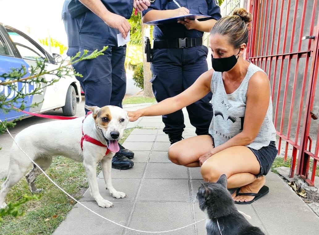 Rescataron a tres mascotas que habían quedado sin asistencia tras la internación de su dueña