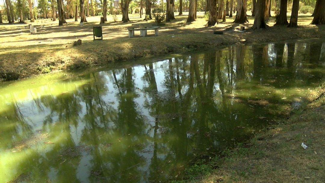 Empezó a fluir el agua en el lago del Parque de Mayo