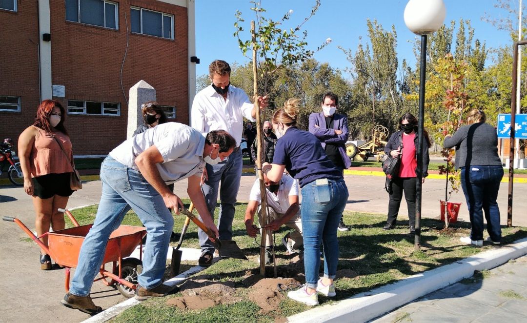 Vialidad Nacional se sumó a la convocatoria nacional: “Plantamos Memoria”