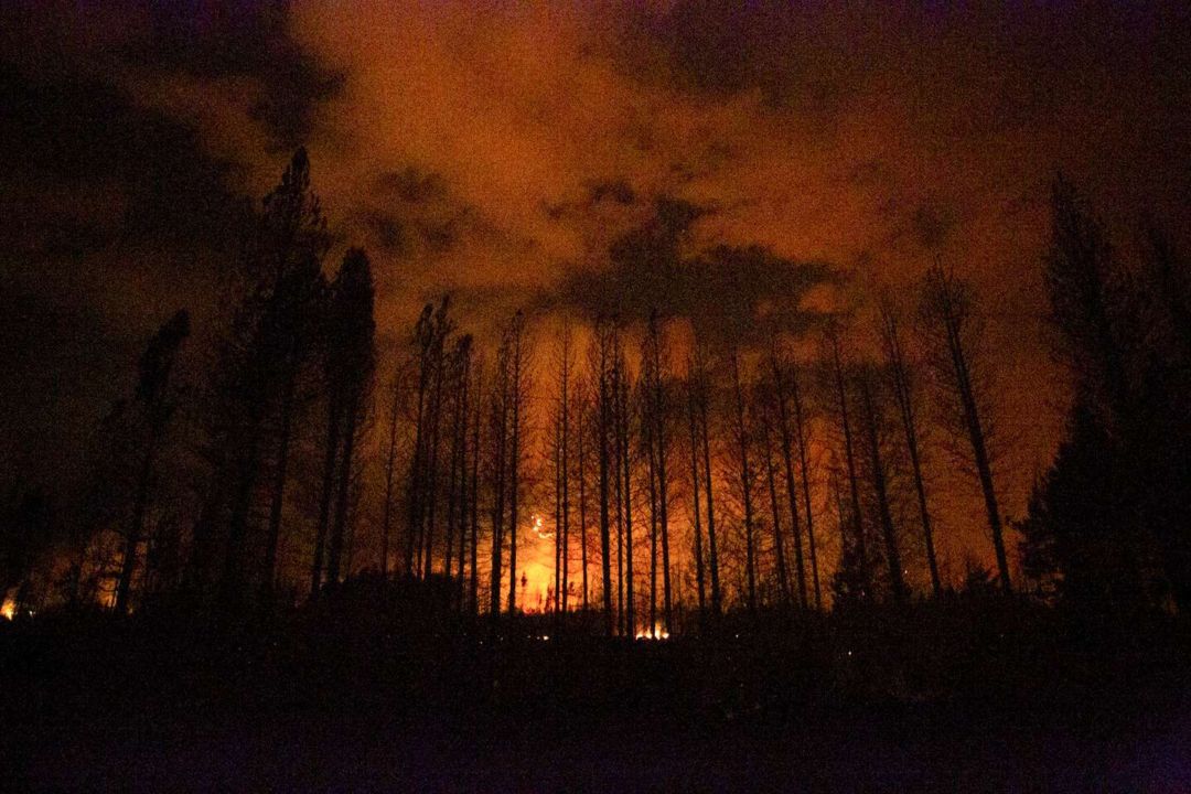 Hay al menos 15 personas desaparecidas por los incendios en Chubut y Río Negro