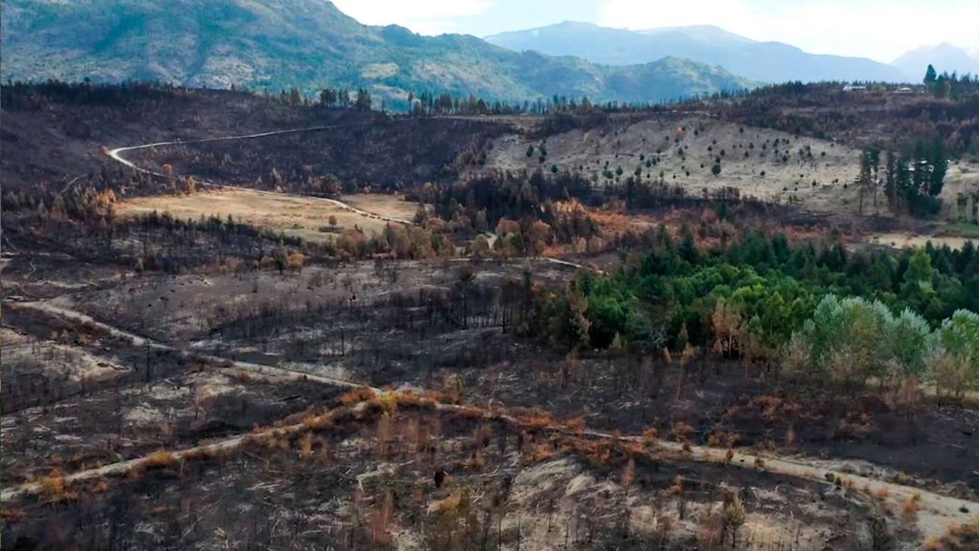 Crean un papel ignífugo para un diario que busca concientizar sobre los incendios forestales