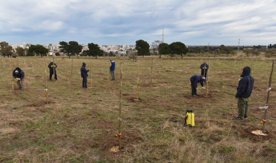 Lanzaron una campaña para modificar el nombre del Parque Campaña del Desierto