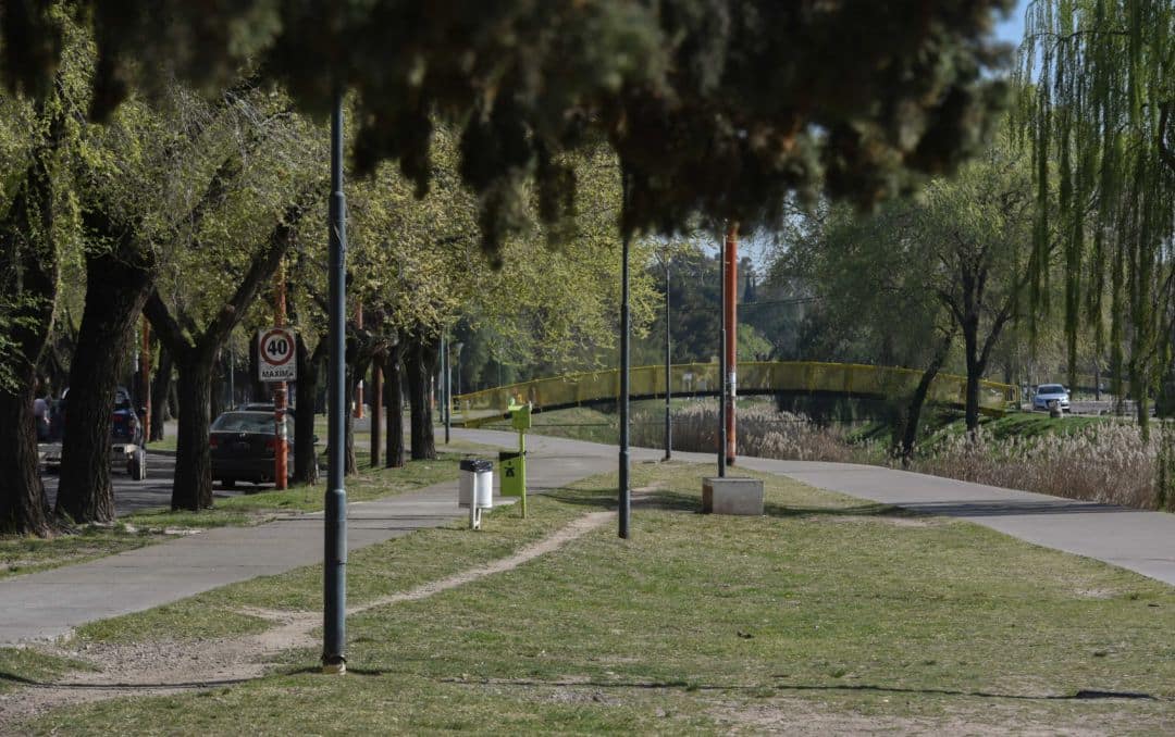 Fiscalización en plazas, parques y arbolado urbano