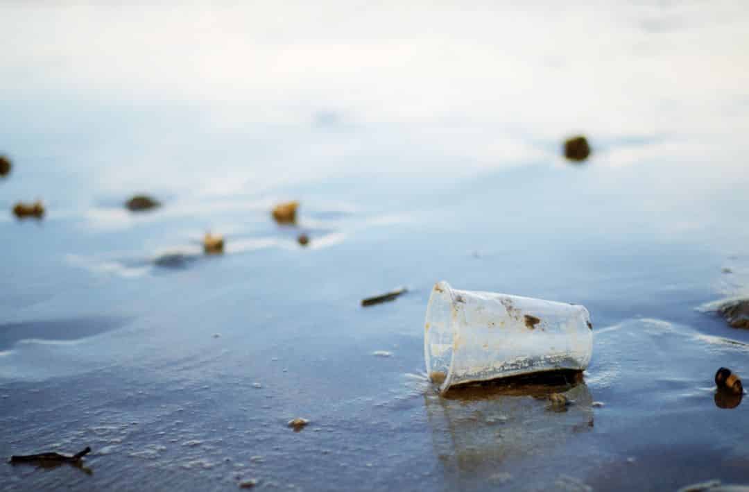 Plástico: la pandemia no frenó la contaminación en los mares