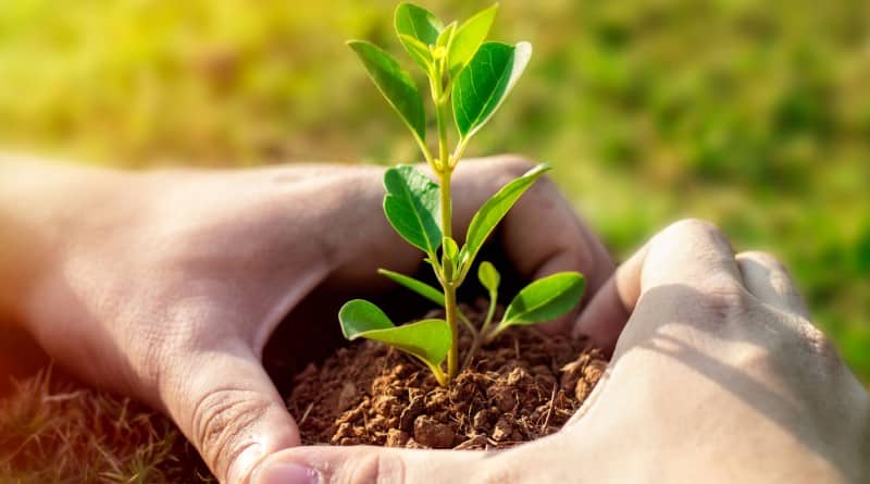 Ya está en marcha la Feria Nacional de Emprendedores Verdes en Villarino