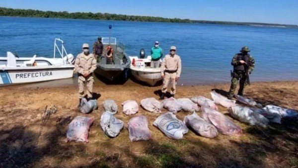 Prefectura descubrió a un guía de pesca que llevaba 700 kilos de carpinchos faenados en una lancha